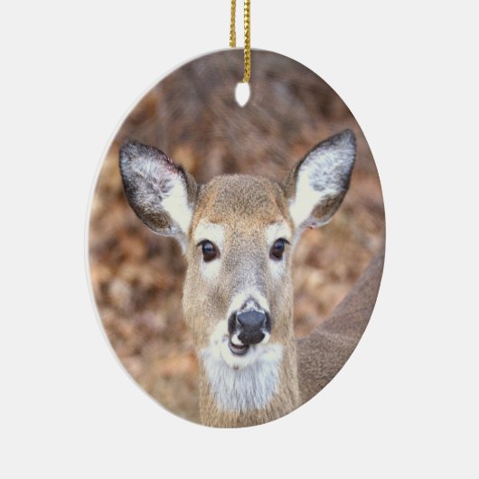 Deer Photo Ornament (Rechts)