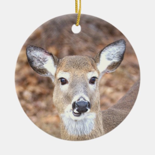 Deer Photo Ornament (Vorne)