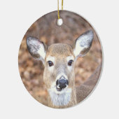 Deer Photo Ornament (Links)
