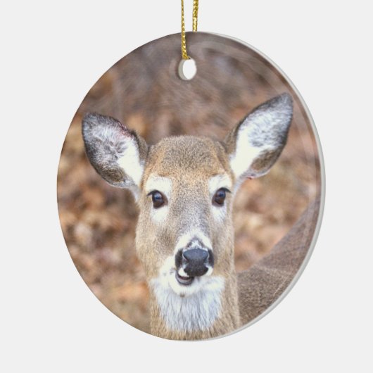 Deer Photo Ornament (Links)