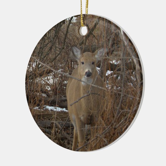 Deer Photo Ornament  (Links)