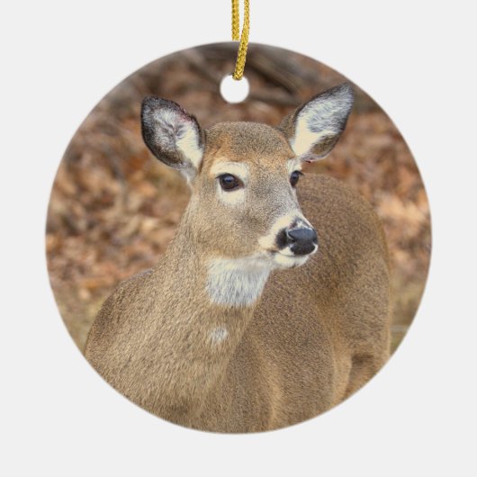 Deer Photo Ornament  (Vorne)