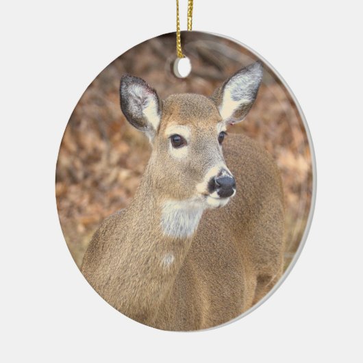 Deer Photo Ornament  (Links)
