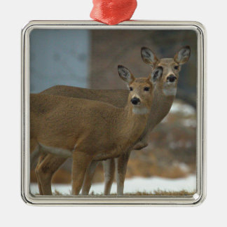 Deer Photo Ornament  Aus Metall