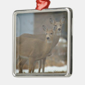 Deer Photo Ornament  Aus Metall (Links)