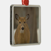 Deer Photo Ornament  Aus Metall (Rechts)