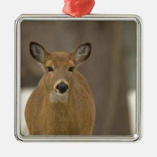 Deer Photo Ornament  Aus Metall