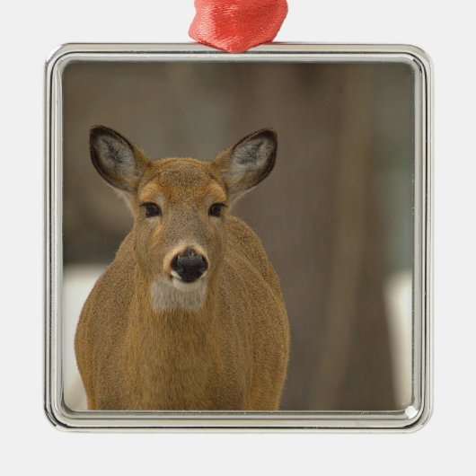 Deer Photo Ornament  Aus Metall (Vorne)