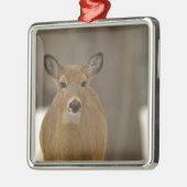 Deer Photo Ornament  Aus Metall (Links)