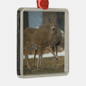 Deer Photo Ornament  Aus Metall (Rechts)