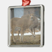 Deer Photo Ornament  Aus Metall (Links)