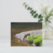 DEER POSTCARD POSTKARTE (Stehend Vorderseite)
