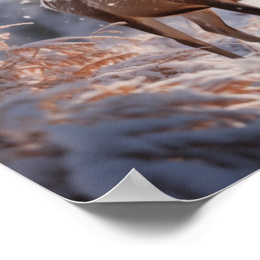 Deer Poster (Ecke)