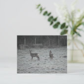 Deer  postkarte (Stehend Vorderseite)