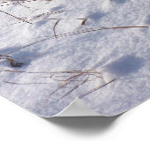 Deer Prints Snow Poster (Ecke)