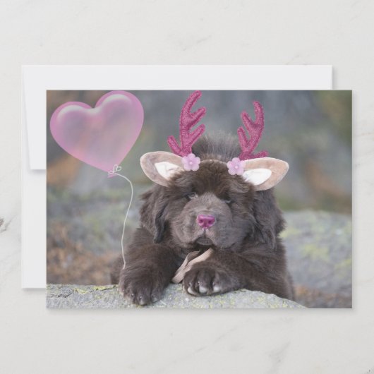Deer Puppy Valentine Feiertagskarte (Vorderseite)