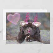 Deer Puppy Valentine Feiertagskarte (Vorne/Hinten)