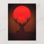 Deer Silhouette with Fiery Red Sunset Postkarte (Vorderseite)