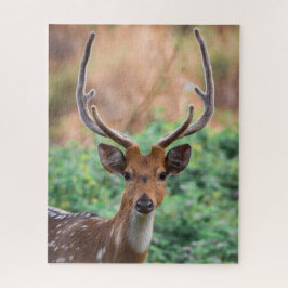 Deer Stag Antlers Woodland Wildlife Puzzle