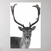 Deer Stag Schwarz-weiß Cabin Style Poster (Vorne)
