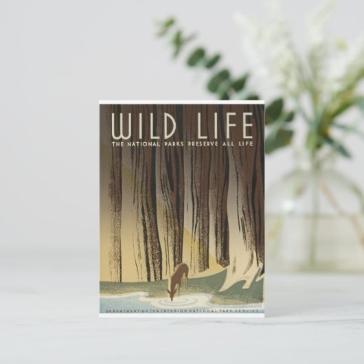 Deer & Stream Postkarte (Stehend Vorderseite)