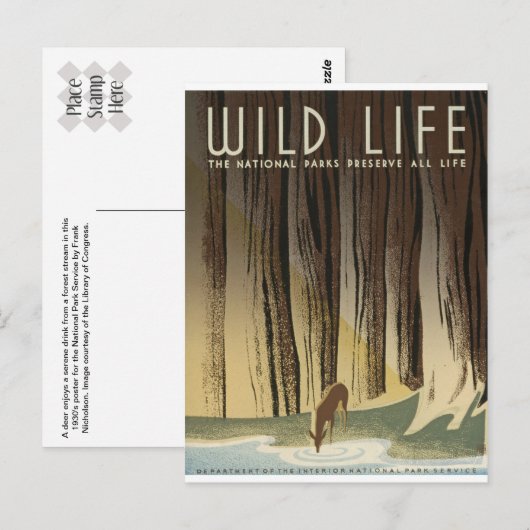 Deer & Stream Postkarte (Vorne/Hinten)