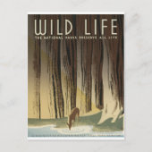 Deer & Stream Postkarte (Vorderseite)