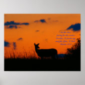 Deer Sunset Poster (Vorne)