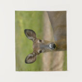 Deer Tapestry Wandteppich (Vorderseite)