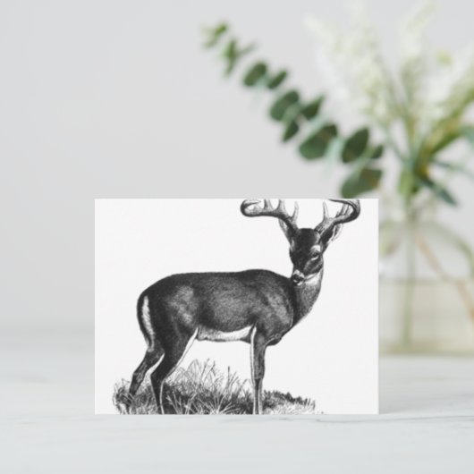 deergieren postkarte (Stehend Vorderseite)