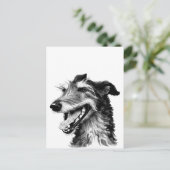 Deerhound | Niedlich Hound Postkarte (Stehend Vorderseite)
