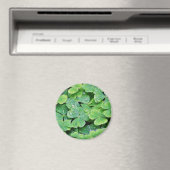 Deerpark Ireland Clover Dew Drops Magnet (In Situ (Geschirrspüler))