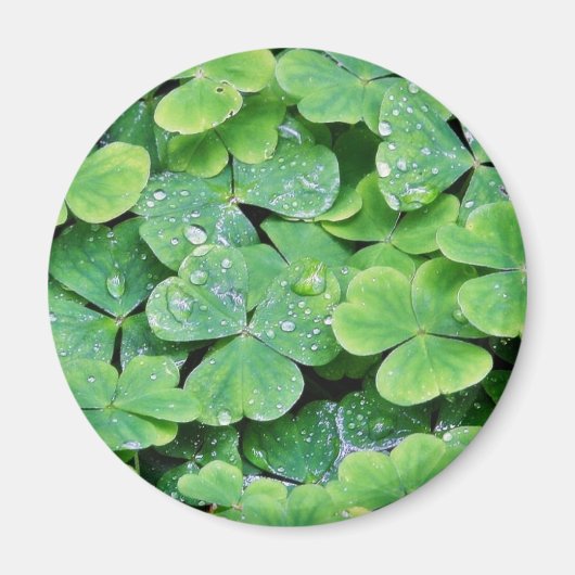 Deerpark Ireland Clover Dew Drops Magnet (Vorne)