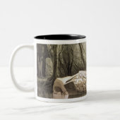 Defektes Mayaidol bei Copan, Guatemala Zweifarbige Tasse (Links)