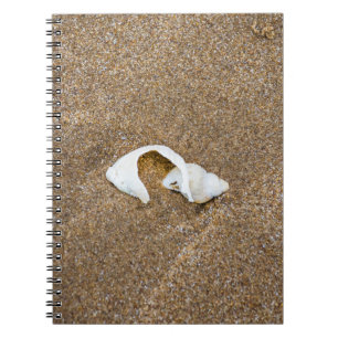 Defektes Muschelnotizbuch Notizblock