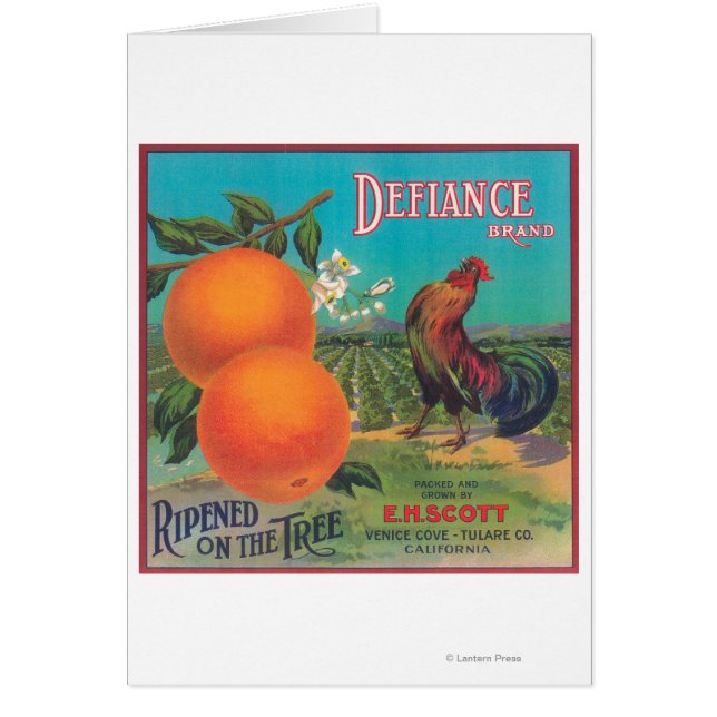 Defiance Orange LabelVenice Cove, CA (Vorne)