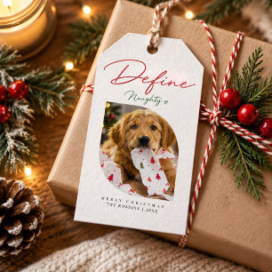 Definiere unartige Schrift Puppy Foto Weihnachten Geschenkanhänger