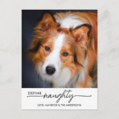 Definieren eines Personalisierten, lustigen Hundep Feiertagspostkarte (Vorderseite)