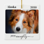 Definieren eines Personalisierten, lustigen Hundep Keramikornament (Rückseite)