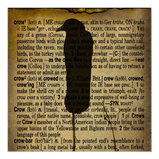 Definieren Sie Crow Glossy Poster (Vorderseite)