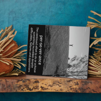 Definition der Ausdauer Fotoplatte