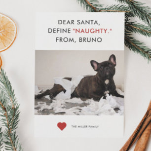 Definition des Fotos "Naughty Funny Pet" Feiertagskarte
