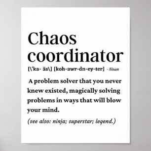 Definition des Koordinators für das Sonnenchaos Poster