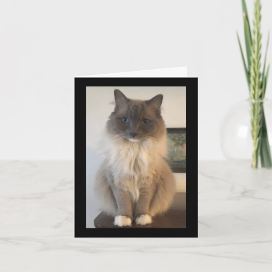 Definition von CAT Karte (Vorderseite)