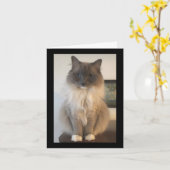 Definition von CAT Karte (Gelbe Blume)