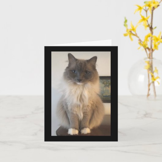 Definition von CAT Karte (Gelbe Blume)