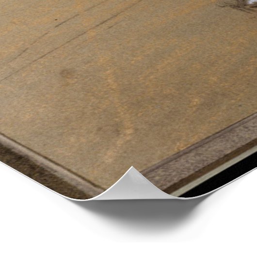 Degas Study of a Dancer Poster (Ecke)