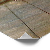 Degas Two Ballet Dancers Poster (Ecke)