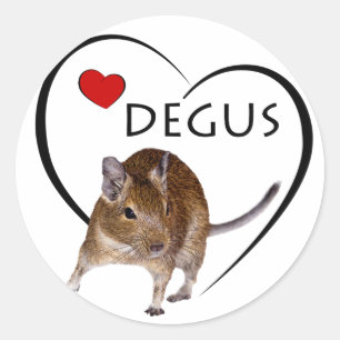 Degu Aufkleber