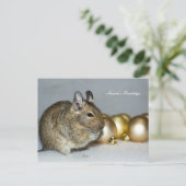 Degu & Baubles Season's Greetings Feiertagspostkarte (Stehend Vorderseite)